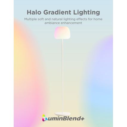 Govee - LED RGBICWW dimbar golvlampa LANTERN MATTER LED/24W/230V Wi-Fi 160 cm