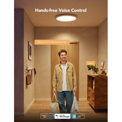 Govee - LED RGBICWW Dimbart takarmatur LED/29W/230V, diam. 30 cm, matt, Wi-Fi