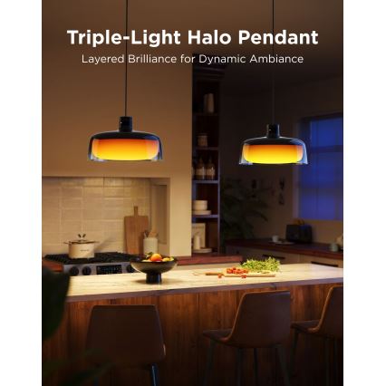 Govee - LED RGBICWW Dimbar taklampa med vajer LED/21W/230V Matter Wi-Fi