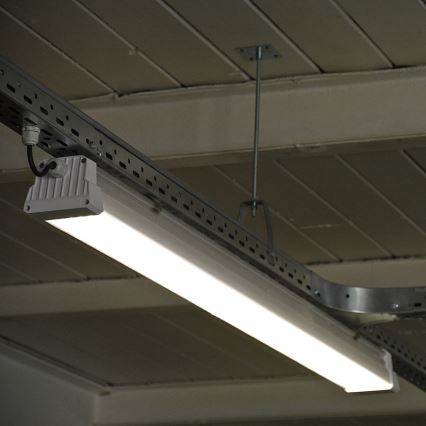Greenlux GXWP381 - LED Teknisk lysrörsarmatur DUST PROFI MILK LED/53W/230V 4000K IP66