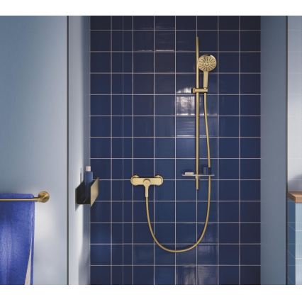 GROHE 134863GN00 - Handdusch VITALIO JOY+ 120 mm borstad guldfinish
