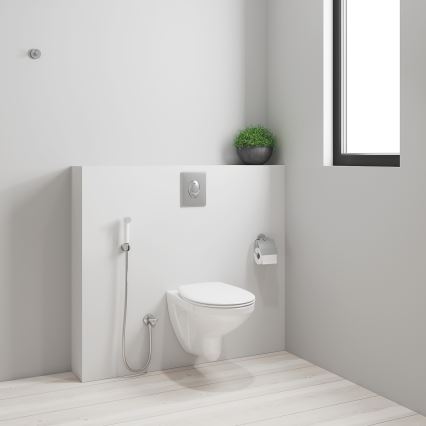 GROHE 26356IL0 - Handdusch för bidé TEMPESTA-F 30 1250 mm polerad krom