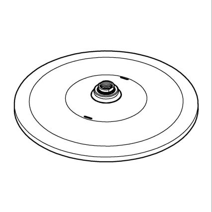 GROHE 26561000 - Takdusch RAINSHOWER 310 mm, polerad krom