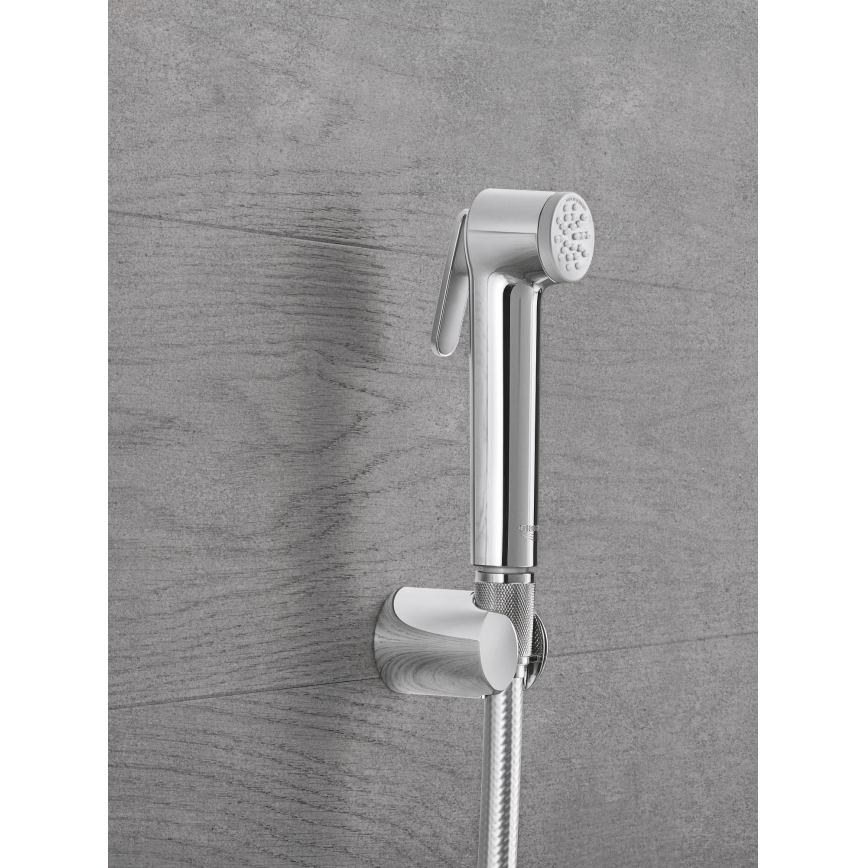 GROHE 27512001 - Handdusch TEMPESTA-F TRIGGER SPRAY 30, 36 mm, polerad krom