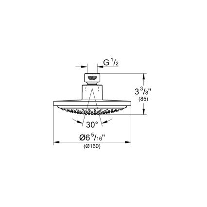 GROHE 28233000 - Duschhuvud EUPHORIA COSMOPOLITAN 160 polerad krom