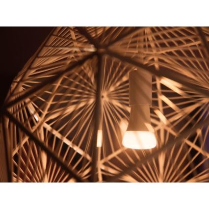 Grundläggande set Philips Hue WHITE AMBIANCE 2xE27/8W/230V + enhet för anslutning