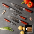 Gudaro - 5-delars set med damaskus köksknivar från MIYABI + magnetisk knivlist