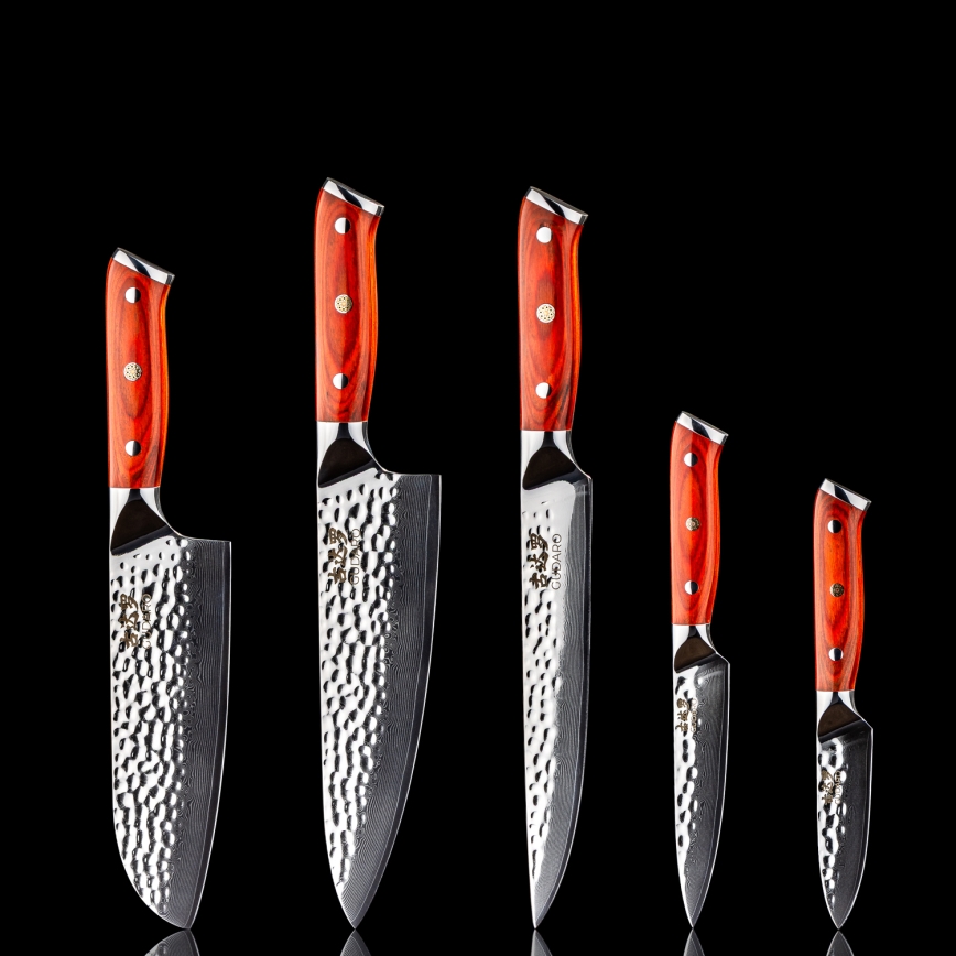 Gudaro - 5-delars set med damaskus köksknivar från MIYABI + magnetisk knivlist