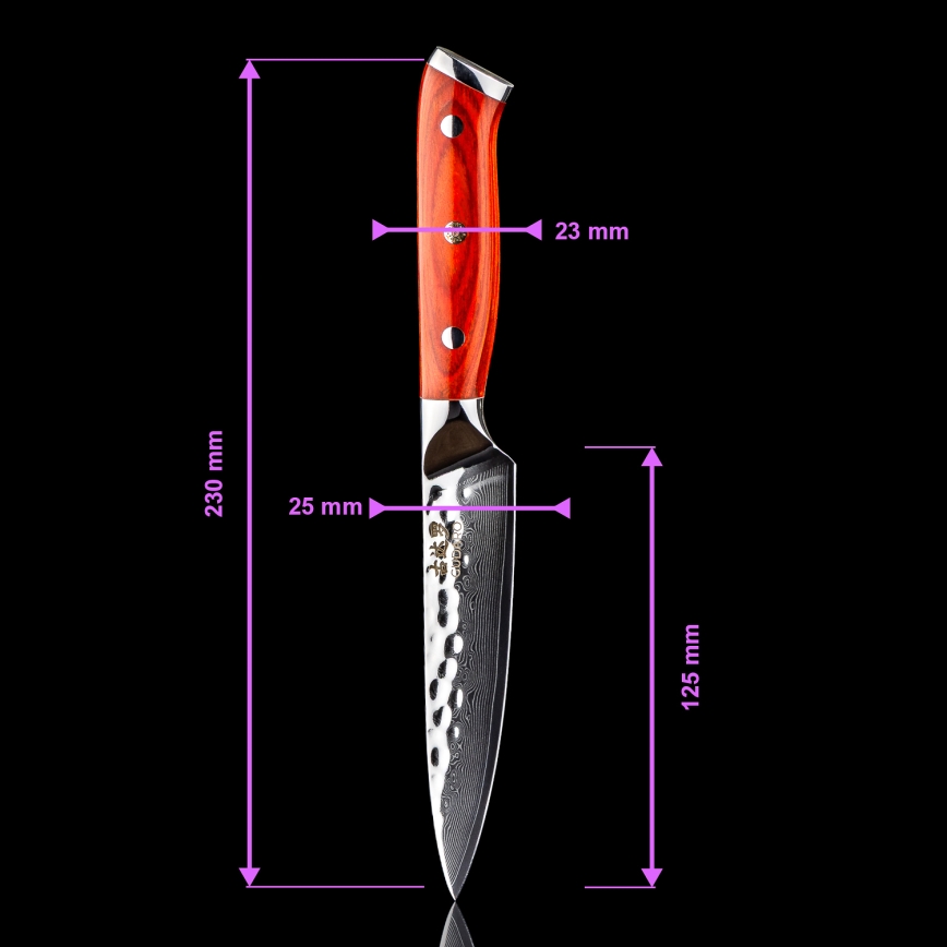 Gudaro - 5-delars set med damaskus köksknivar från MIYABI + magnetisk knivlist