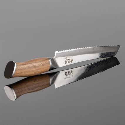 Gudaro - Damaskus brödkniv TAKUMI 8, 67-lagers stål, bladlängd 20 cm, valnöt