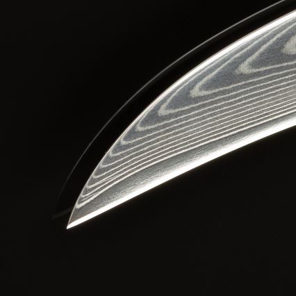 Gudaro -Damaskus-fruktkniv FENG 3,5, 67 lager stål, längd 9,5cm