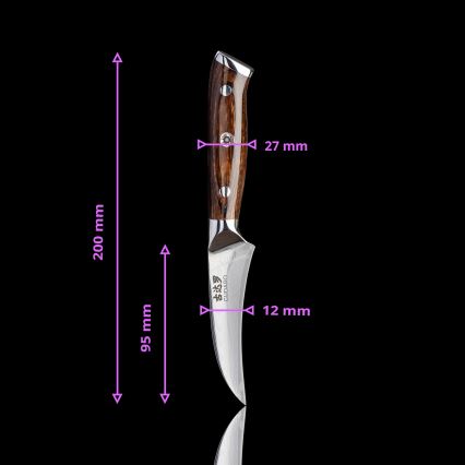Gudaro -Damaskus-fruktkniv FENG 3,5, 67 lager stål, längd 9,5cm