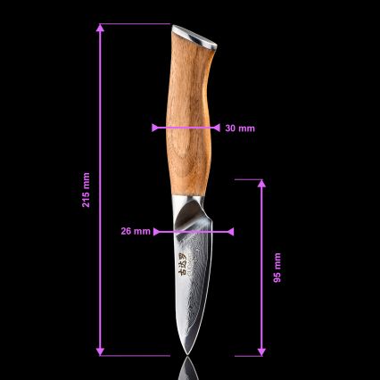 Gudaro - Damaskus kökskniv TAKUMI 3,5, 67 lager stål, längd 9,5 cm, valnöt
