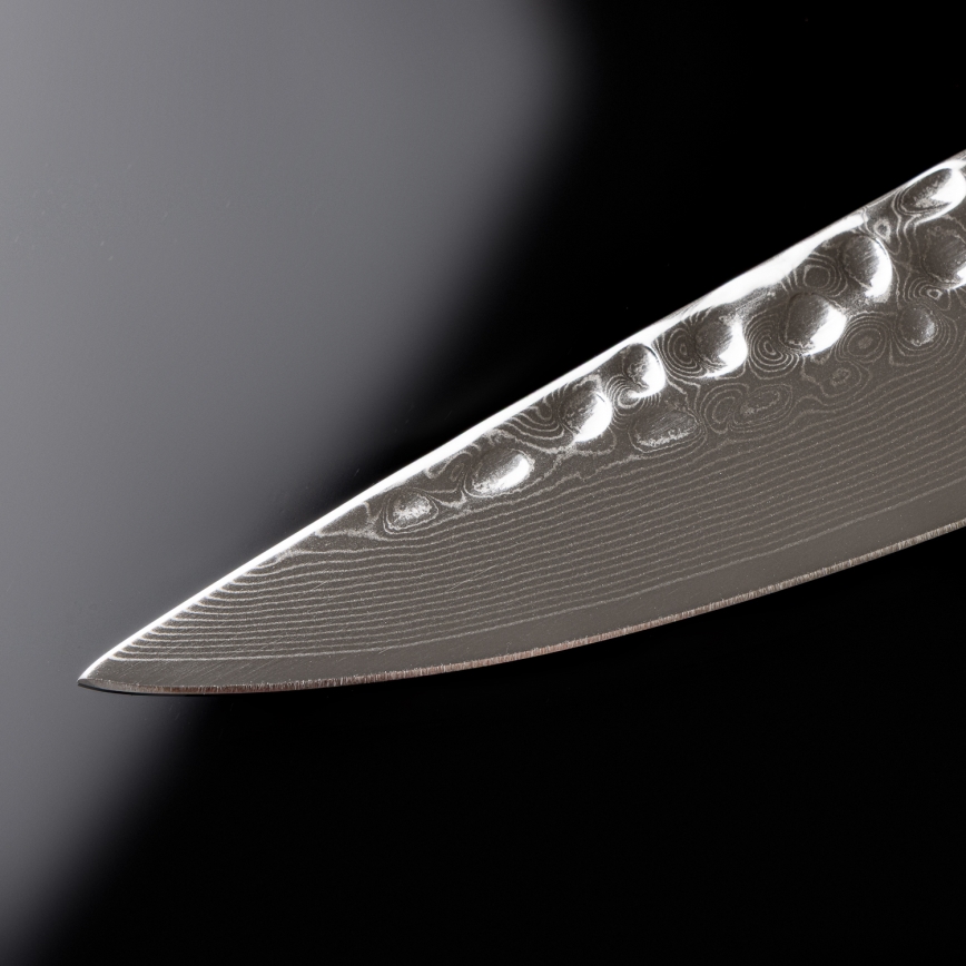 Gudaro - MIYABI damaskus-skivkniv 8, 67 lager damaskusstål, längd 20 cm