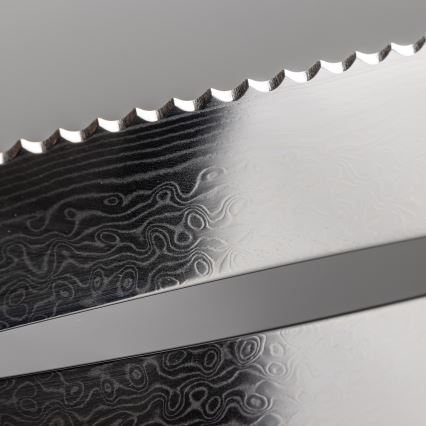 Gudaro - Set med 5 damaskusknivar TAKUMI + knivställ och kycklingsax