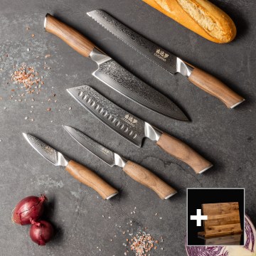 Gudaro - Set med 5 damaskus köksknivar TAKUMI + magnetisk knivlist