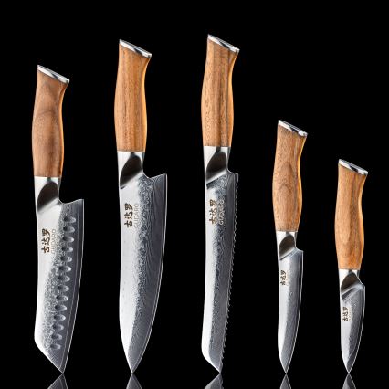 Gudaro - Set med 5 damaskus köksknivar TAKUMI + magnetisk knivlist