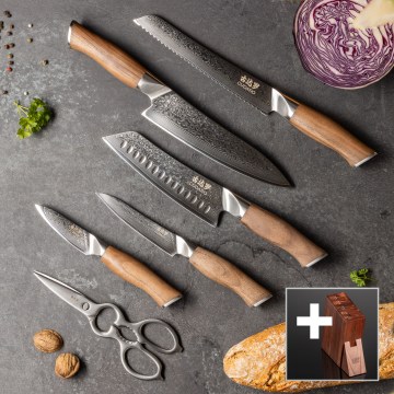 Gudaro-set med 5 damaskusknivar TAKUMI + knivblock och kycklingsax