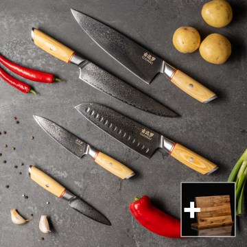 Gudaro - Set med 5 knivar i damaskusstål HIKARI + magnetisk knivlist