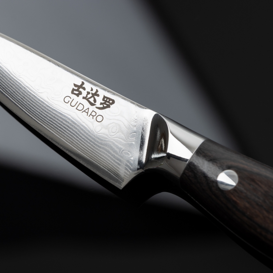 Gudaro - Set om 5 köksknivar i damaskusstål SHIRO + knivställ och sax för fågel