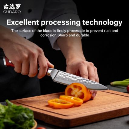 Gudaro - MIYABI universalkniv i 67-lagers damaskusstål 5, längd 12,5 cm