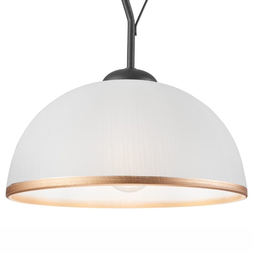 Hängande Ljuskrona RETRO 1xE27/60W/230V antracit