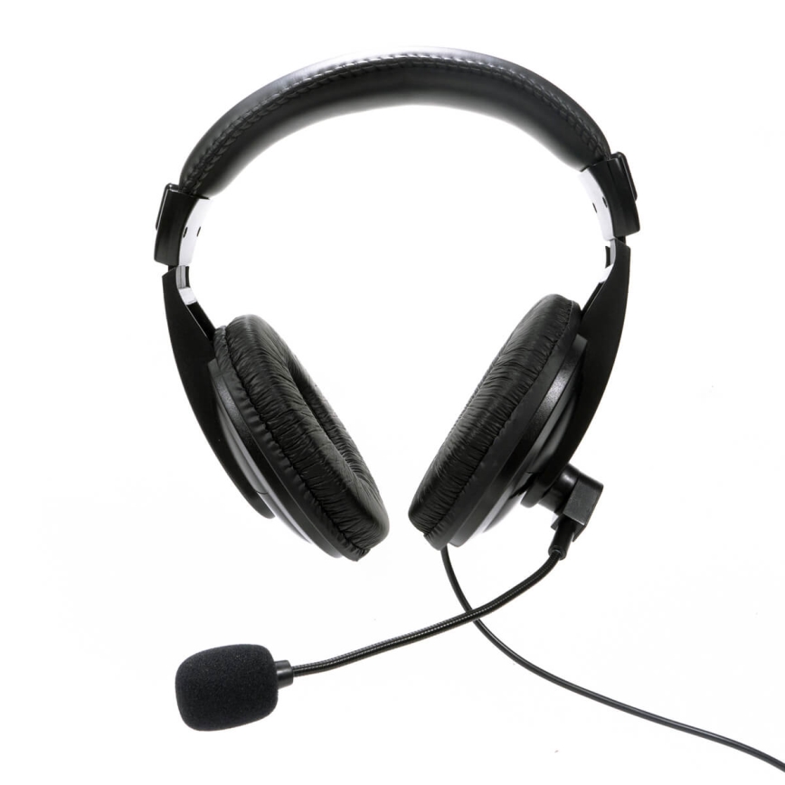 Headphones with a microphone USB svart