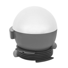 Helios 306-WLG120 - LED Utomhusbelysninging Arbete Glob 1 LED/20W/230V IP44