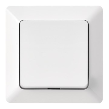 Hem Strömbrytare alternerande 250V/10A