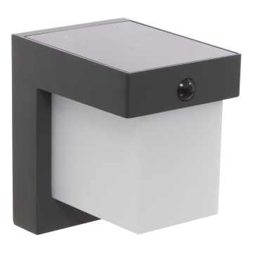 Hesperide - Solcellsdriven LED-vägglampa med rörelsesensor MULTY LED/3,7V 2600 mAh IP65 antracit