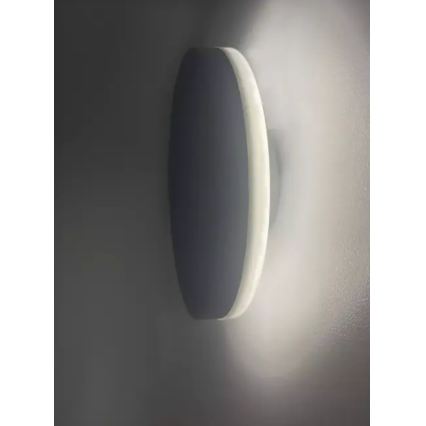 HÖFFTECH - LED utomhusvägglampa LED/10W/230V rund IP65