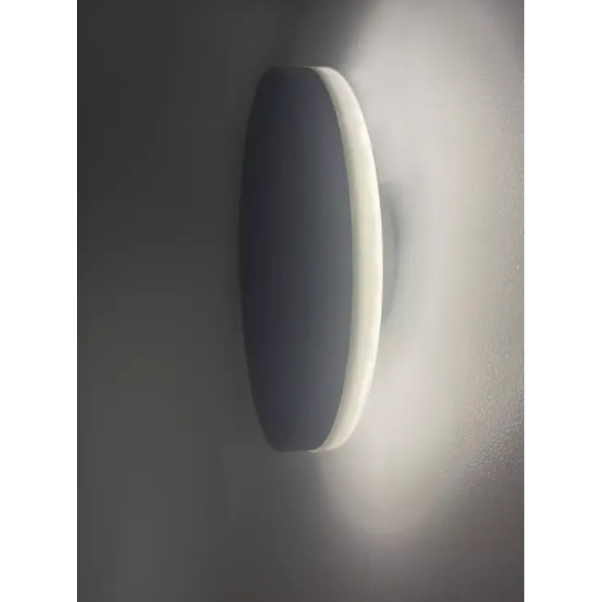 HÖFFTECH - LED utomhusvägglampa LED/10W/230V rund IP65