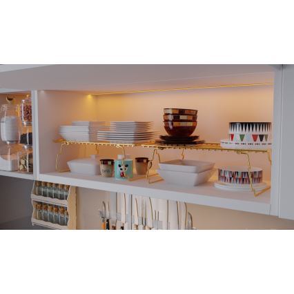 Hyllorganisatör 42x19 cm guld