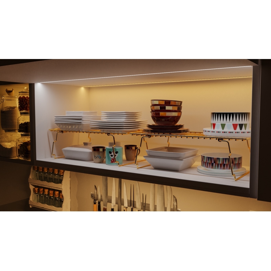 Hyllorganisatör 42x19 cm guld