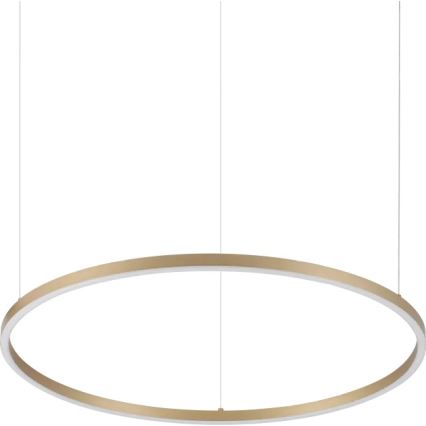 Ideal Lux - LED-pendel på vajer ORACLE SLIM LED/37W/230V 3000K CRI 90 Ø 70 cm guld