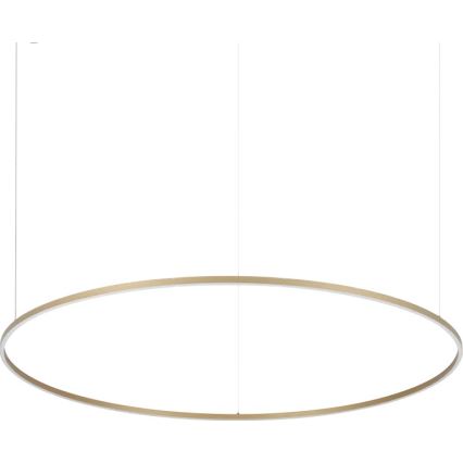 Ideal Lux - LED-ljuskrona på vajer ORACLE SLIM LED/81W/230V 3000K CRI 90 Ø 150 cm guld