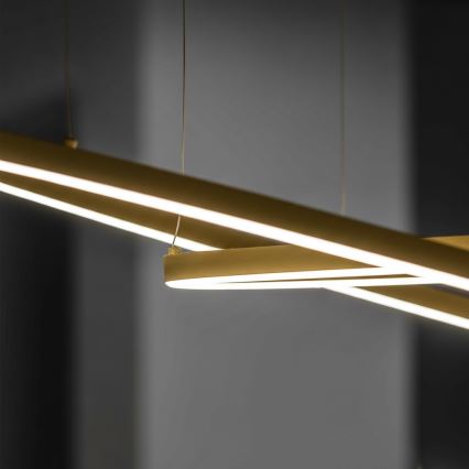 Ideal Lux - LED-ljuskrona på vajer ORACLE SLIM LED/81W/230V 3000K CRI 90 Ø 150 cm guld