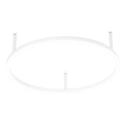 Ideal Lux - LED takarmatur ORACLE SLIM LED/29W/230V 4000K CRI 90 Ø 50 cm vit