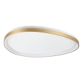Ideal Lux - LED taklampa GEMINI LED/42W/230V diameter 81 cm CRI 90 guld