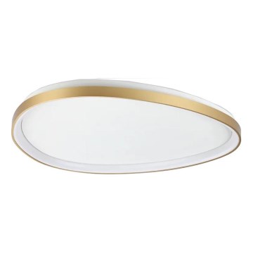 Ideal Lux - LED taklampa GEMINI LED/42W/230V diameter 81 cm CRI 90 guld