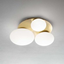 Ideal Lux - LED taklampa NINFEA 3xLED/9W/230V guld