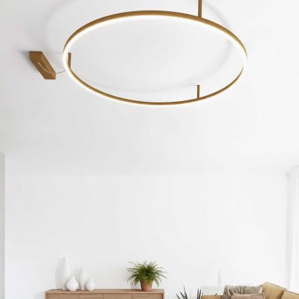 Ideal Lux - LED-taklampa ORACLE SLIM LED/53W/230V 4000K CRI 90 Ø 90 cm guld