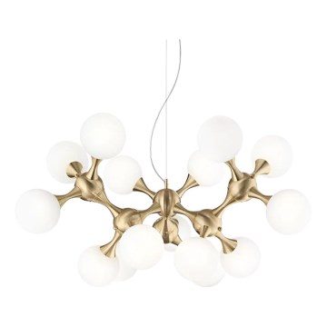 Ideal Lux - Ljuskrona med vajer NODI 15xE14/28W/230V Ø 105 cm mässing/vit