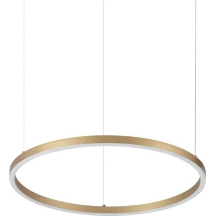 Ideal Lux - LED-pendellampa ORACLE SLIM med vajerupphängning, 29 W, 230 V, 3000 K, CRI 90, Ø 50 cm, guld