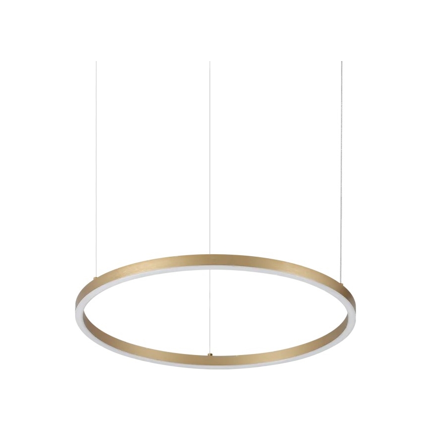 Ideal Lux - LED-pendellampa ORACLE SLIM med vajerupphängning, 29 W, 230 V, 3000 K, CRI 90, Ø 50 cm, guld