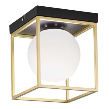 Ideal Lux - Taklampa LINGOTTO 1xE14/40W/230V