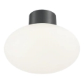 Ideal Lux - Utomhus taklampa CLIO 1xE27/42W/230V IP44 antracit