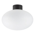 Ideal Lux - Utomhus taklampa CLIO 1xE27/42W/230V IP44 svart