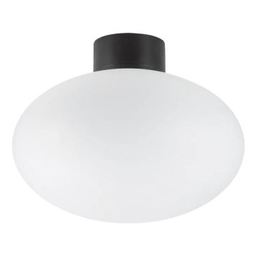 Ideal Lux - Utomhus taklampa CLIO 1xE27/42W/230V IP44 svart