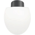 Ideal Lux - Utomhustaklampa CLIO 1xE27/42W/230V IP44 antracit